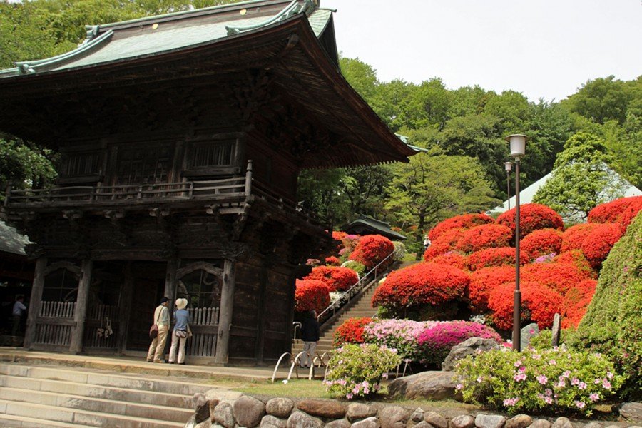 🌸 등각원 (토가쿠인) 이미지 4